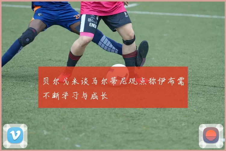 贝尔戈米谈马尔蒂尼观点称伊布需不断学习与成长