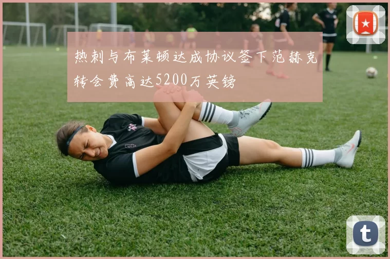 热刺与布莱顿达成协议签下范赫克转会费高达5200万英镑
